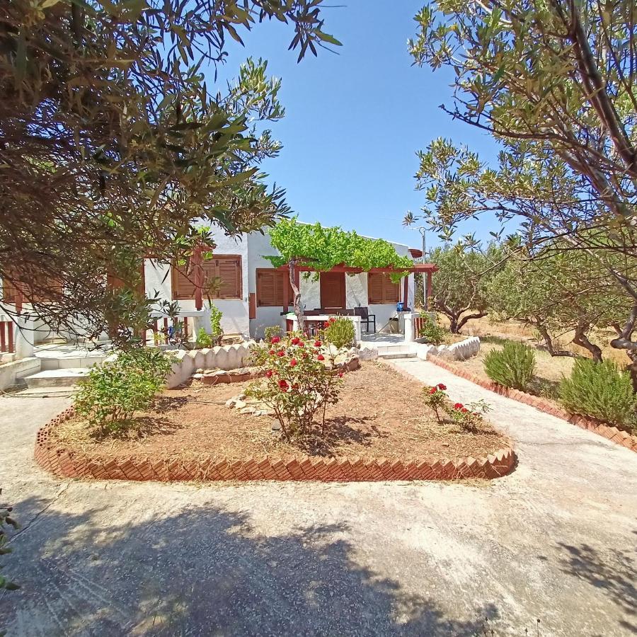 Sunrise Apartments Palaikastro Exterior foto